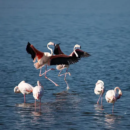 Appartamento Santa Giusta سانتا جوستا