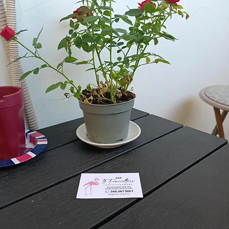 شقة Appartamento Santa Giusta *